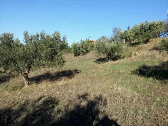 Land In Sithonia, Greece