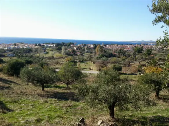 Land In Sithonia, Greece
