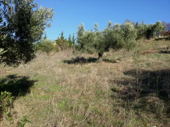 Land In Sithonia, Greece