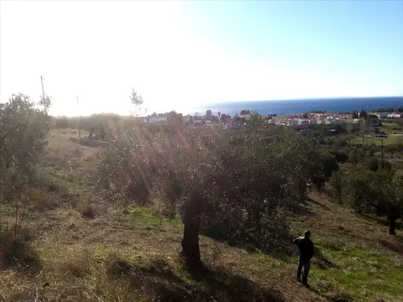 Land In Sithonia, Greece