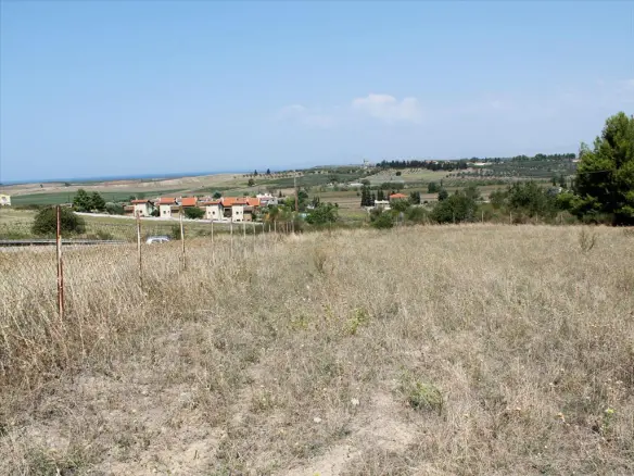 Land In Kassandra, Greece
