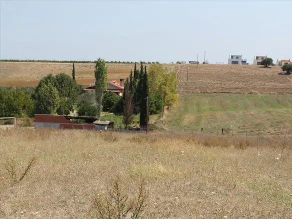 Land In Kassandra, Greece