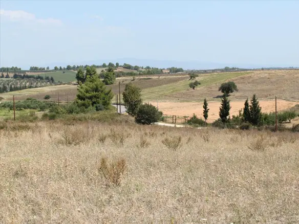 Land In Kassandra, Greece