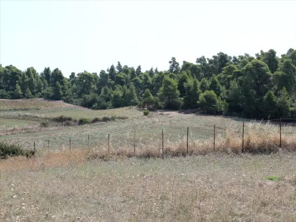 Land In Kassandra, Greece