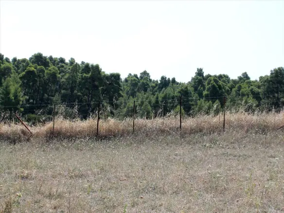 Land In Kassandra, Greece