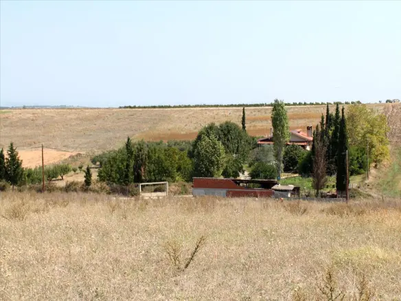 Land In Kassandra, Greece