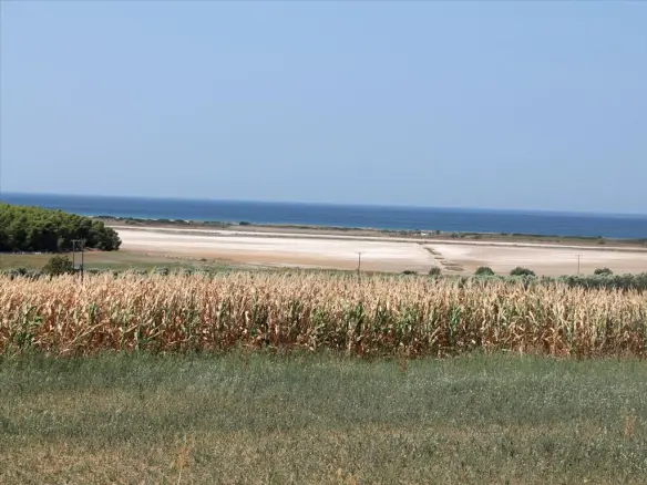 Land In Kassandra, Greece