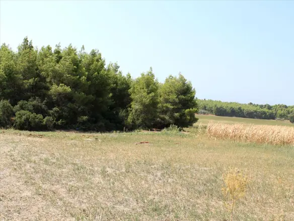 Land In Kassandra, Greece