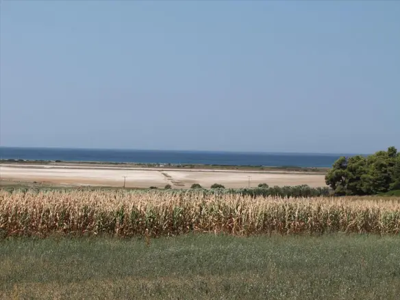 Land In Kassandra, Greece