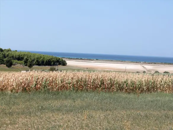 Land In Kassandra, Greece