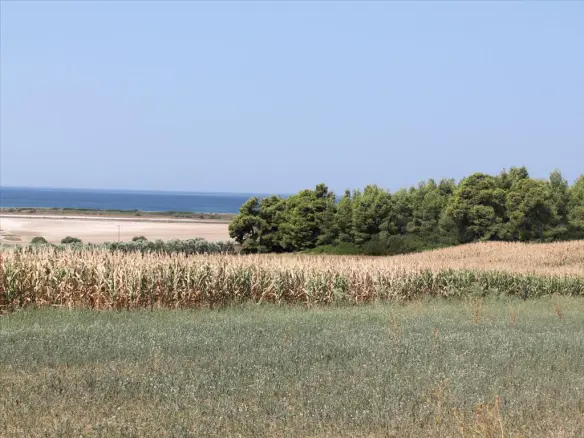 Land In Kassandra, Greece