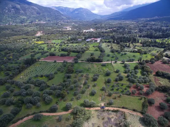 6113 M² Plot Of Land Available In Kefalonia