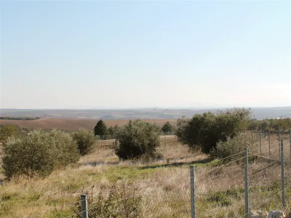 Land In Greece (900 M²)