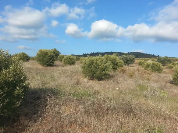 Land In Sithonia, Greece