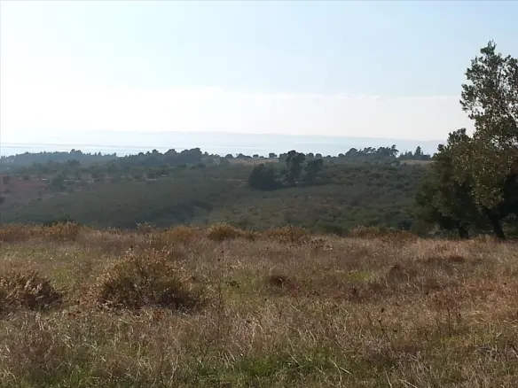 Land In Sithonia, Greece