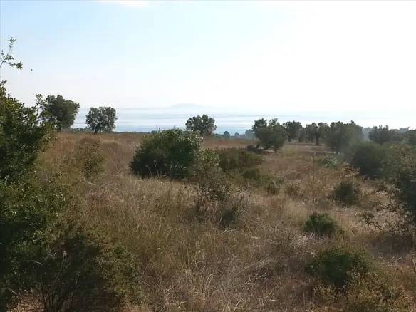 13828 M² Plot Available In Sithonia, Chalkidiki Region