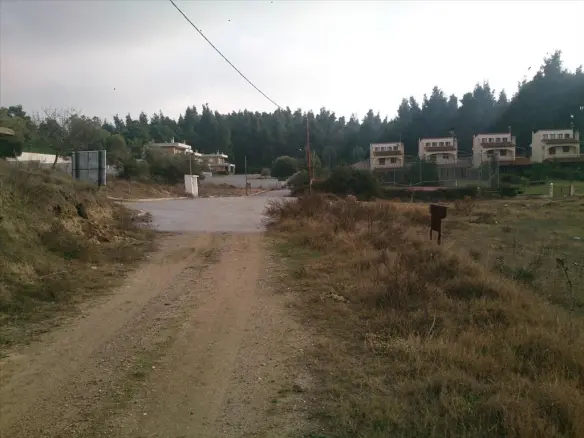 Land In Kassandra, Greece (8.000 M²)