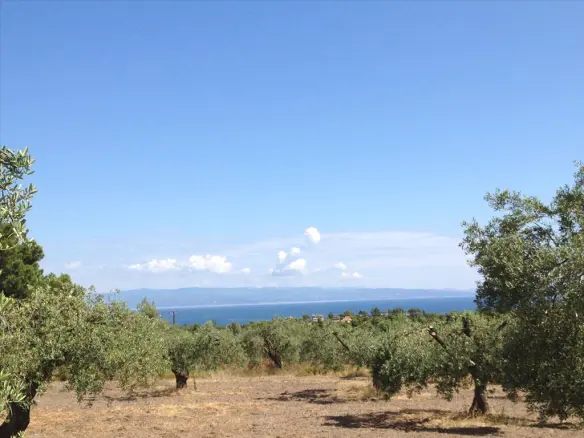 Land In Sithonia, Greece