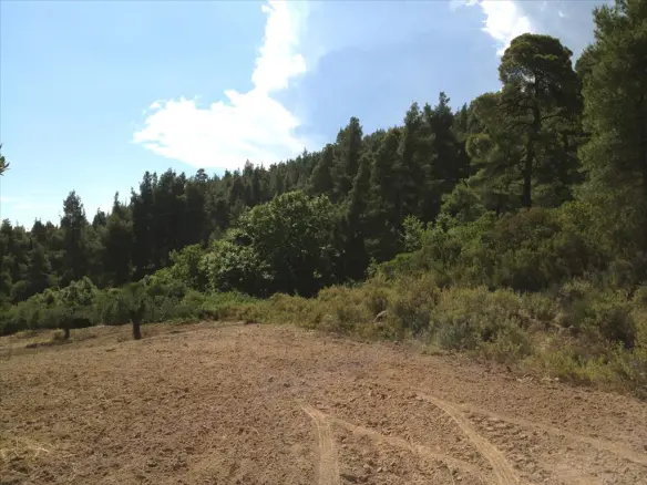Land In Sithonia, Greece