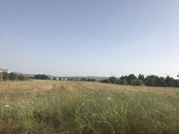 Land In Thermi, Greece