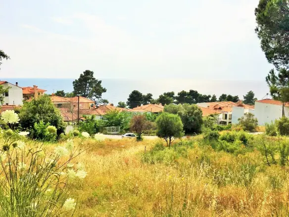 Land In Kassandra, Greece