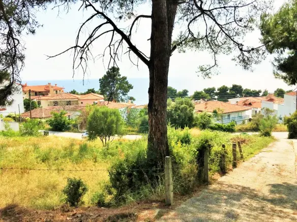 Land In Kassandra, Greece