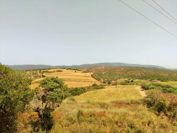 Land In Greece