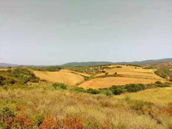 Land In Greece