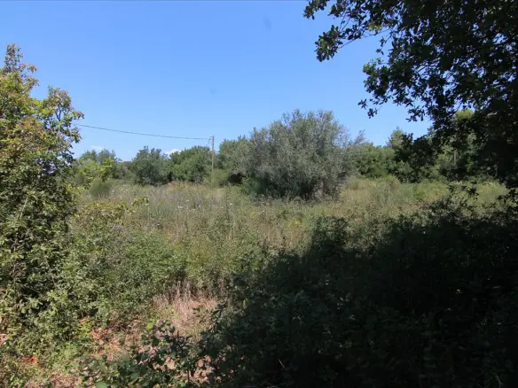 Land In Corfu, Greece