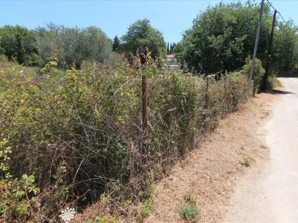 Land In Corfu, Greece