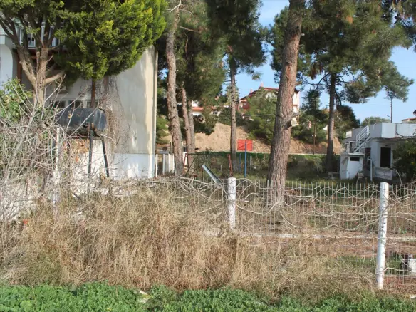 Land In Sithonia, Greece