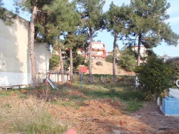 Land In Sithonia, Greece