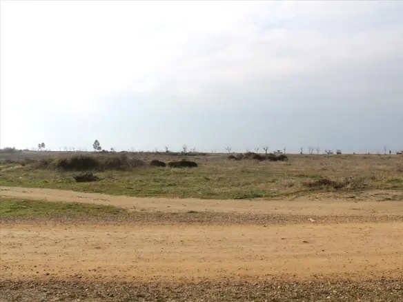 Land In Sithonia, Greece