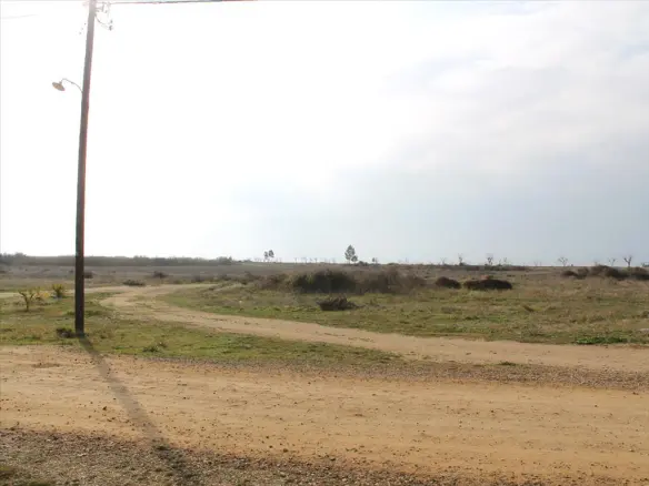 Land In Sithonia, Greece