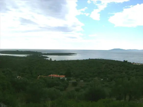 Land In Sithonia, Greece