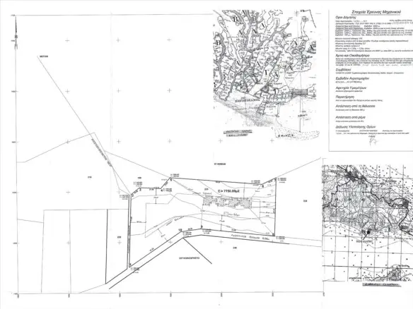 Land In Aristotle, Greece (7.850 M²)