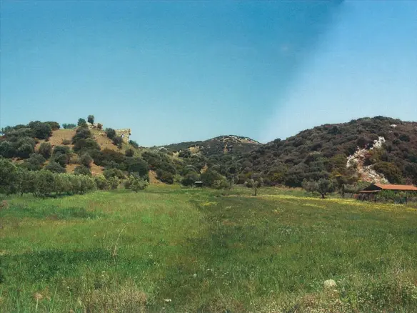 Land In Aristotle, Greece (7.850 M²)