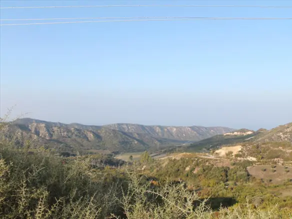 Land In Kassandra, Greece