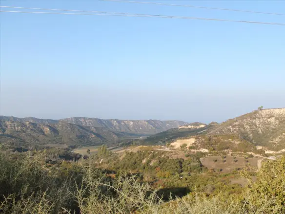 Land In Kassandra, Greece