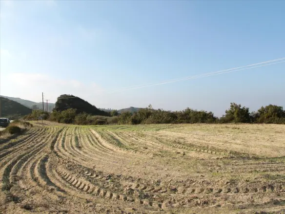 Land In Kassandra, Greece