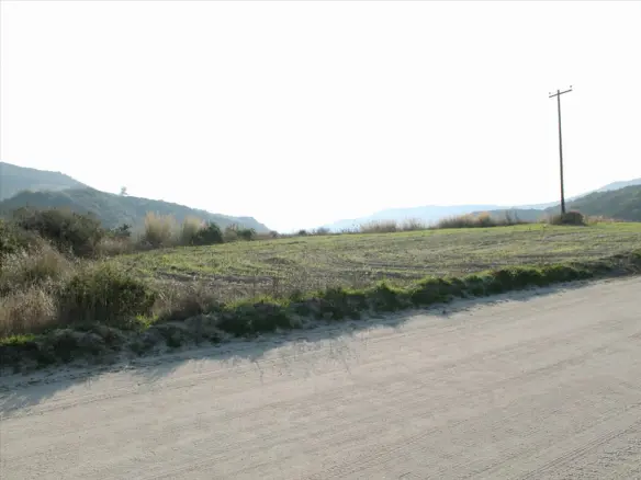Land In Kassandra, Greece