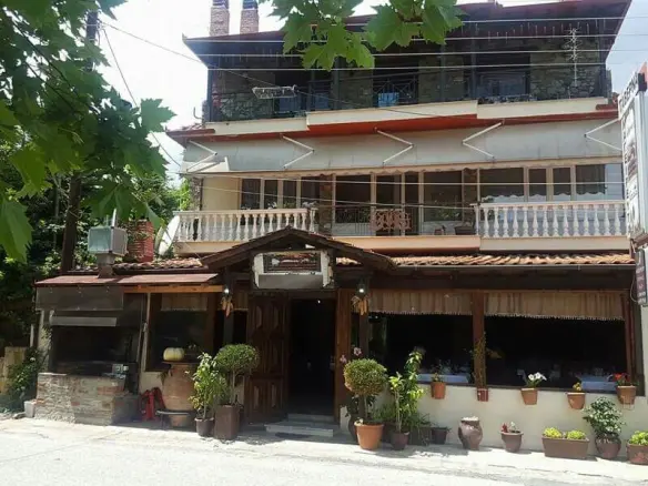 Business In Aridaia, Greece (1.110 M²)