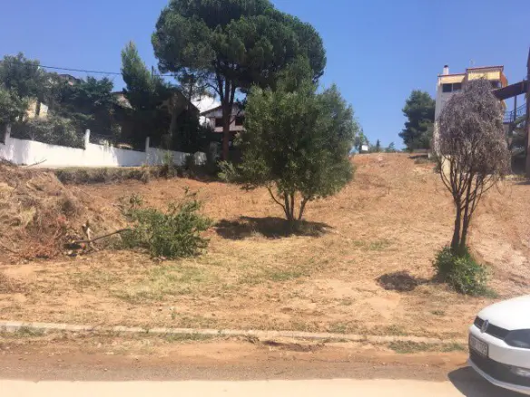 Land In Kassandra, Greece