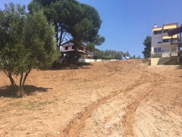 Land In Kassandra, Greece