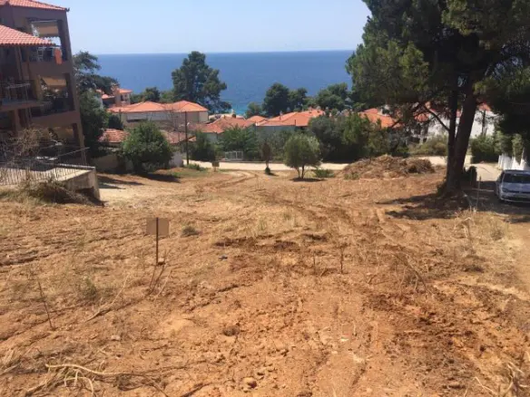 Land In Kassandra, Greece