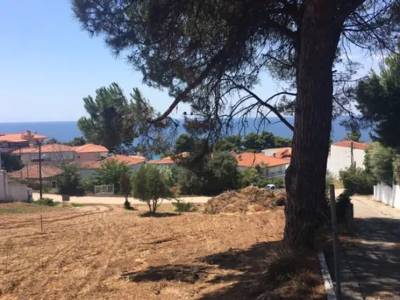 Land In Kassandra, Greece