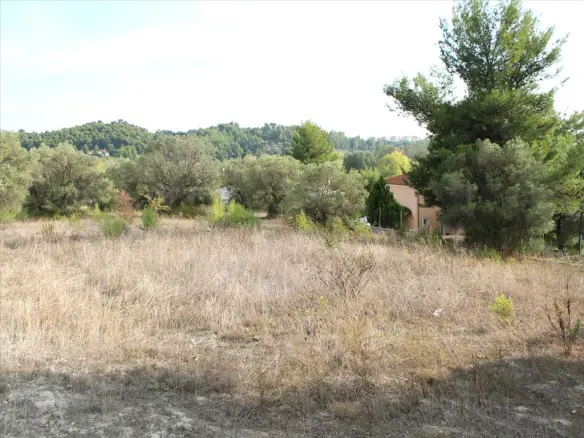 Land In Kassandra, Greece