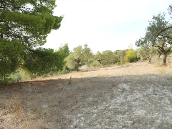 Land In Kassandra, Greece