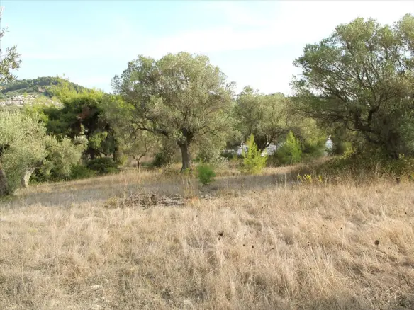 Land In Kassandra, Greece