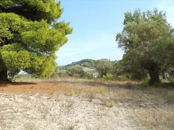 Land In Kassandra, Greece